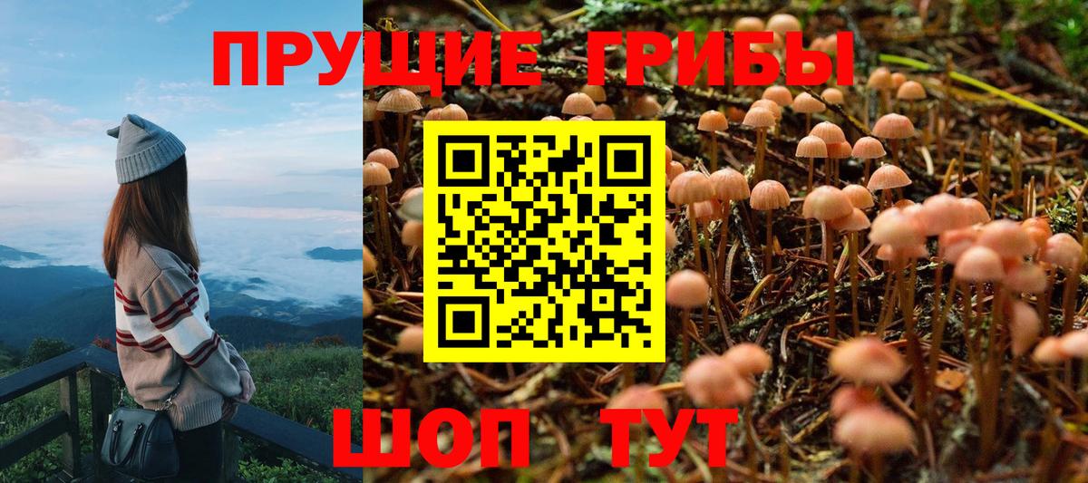 Галлюциногенные грибы Cubensis  Вход с VPN  Псилоцибиновые грибы MAGIC MUSHROOMS  Новый Уренгой 